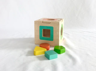 Wooden Blocks Intelligence Box Shape Sorter